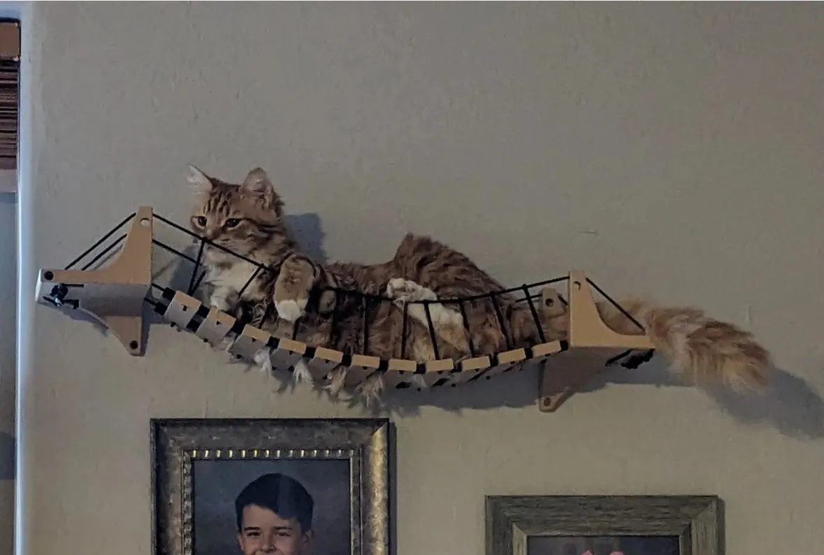Cat suspension bridge and steps, wall mount view 2