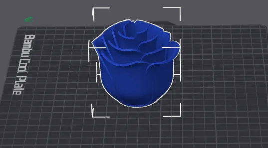 Rose bud