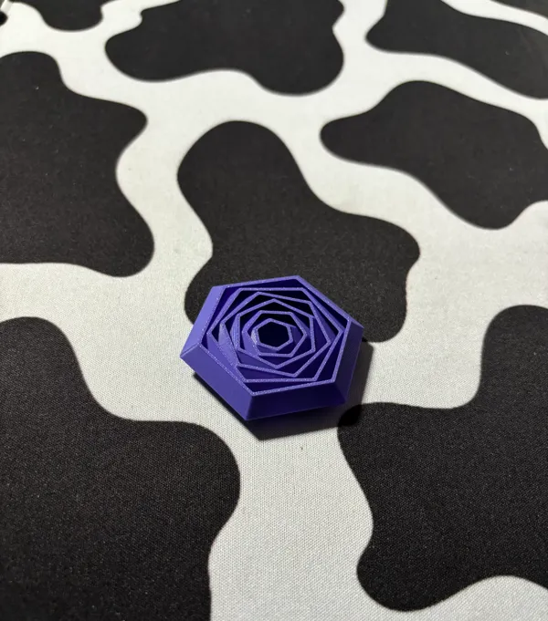 https://makerworld.bblmw.com/makerworld/model/US4d8430735fcf74/design/2024-06-06_5378507401d2f.jpg