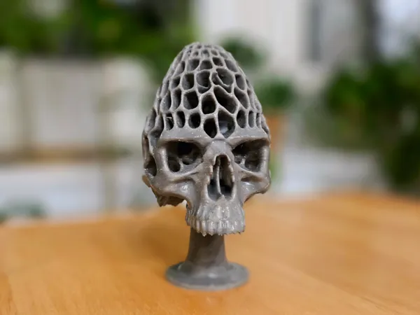 https://makerworld.bblmw.com/makerworld/model/US4d84e37a051eb7/design/981b228a3d919801.jpg