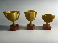 Trophée vierge à personnaliser, 3 modèles — photo 2