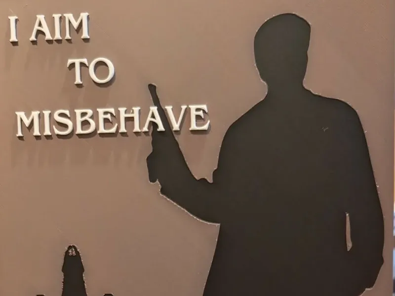 I aim to misbehave - Mal Reynolds - Firefly 