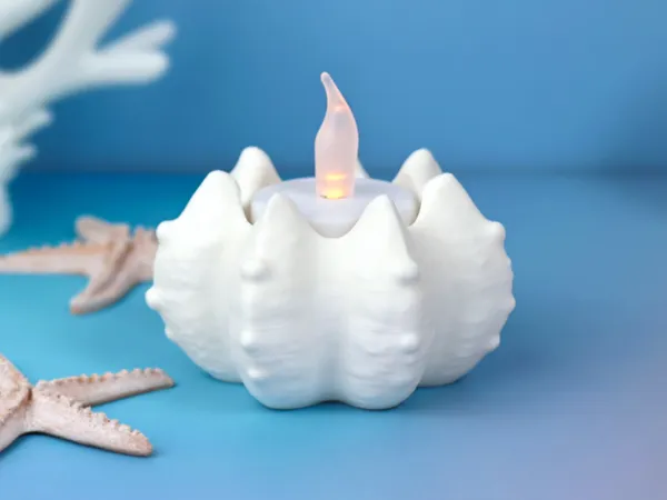 https://makerworld.bblmw.com/makerworld/model/US4d8b930149815e/design/2025-06-23_cda6bb13c6d0c8.jpg