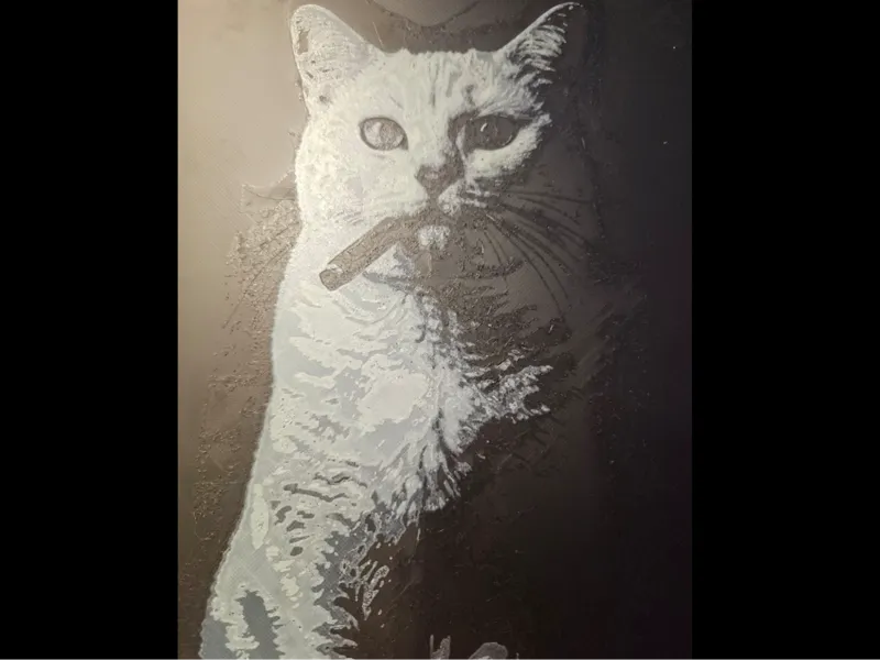 Smoking Cat - Hueforge