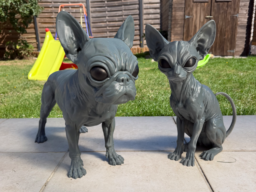 Duo Alien – Bouledogue & Sphynx - 1