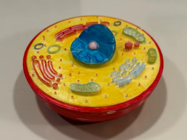 https://makerworld.bblmw.com/makerworld/model/US4d9a104b75e76/design/2024-12-02_dd9a1f42db3de8.jpg