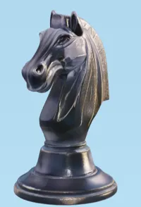 Cavalier d'échecs — photo 2