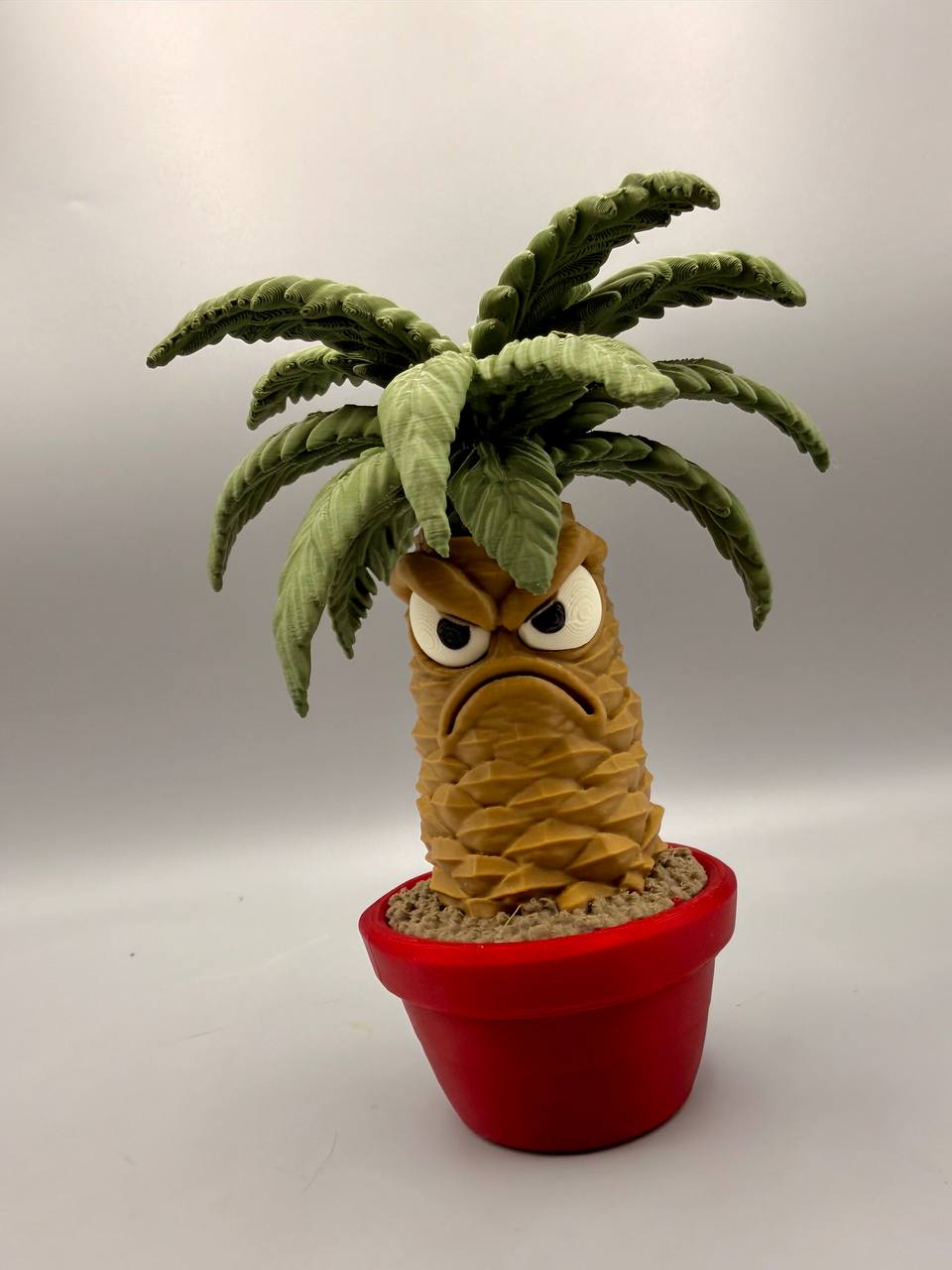 Grumpy Palm - 1