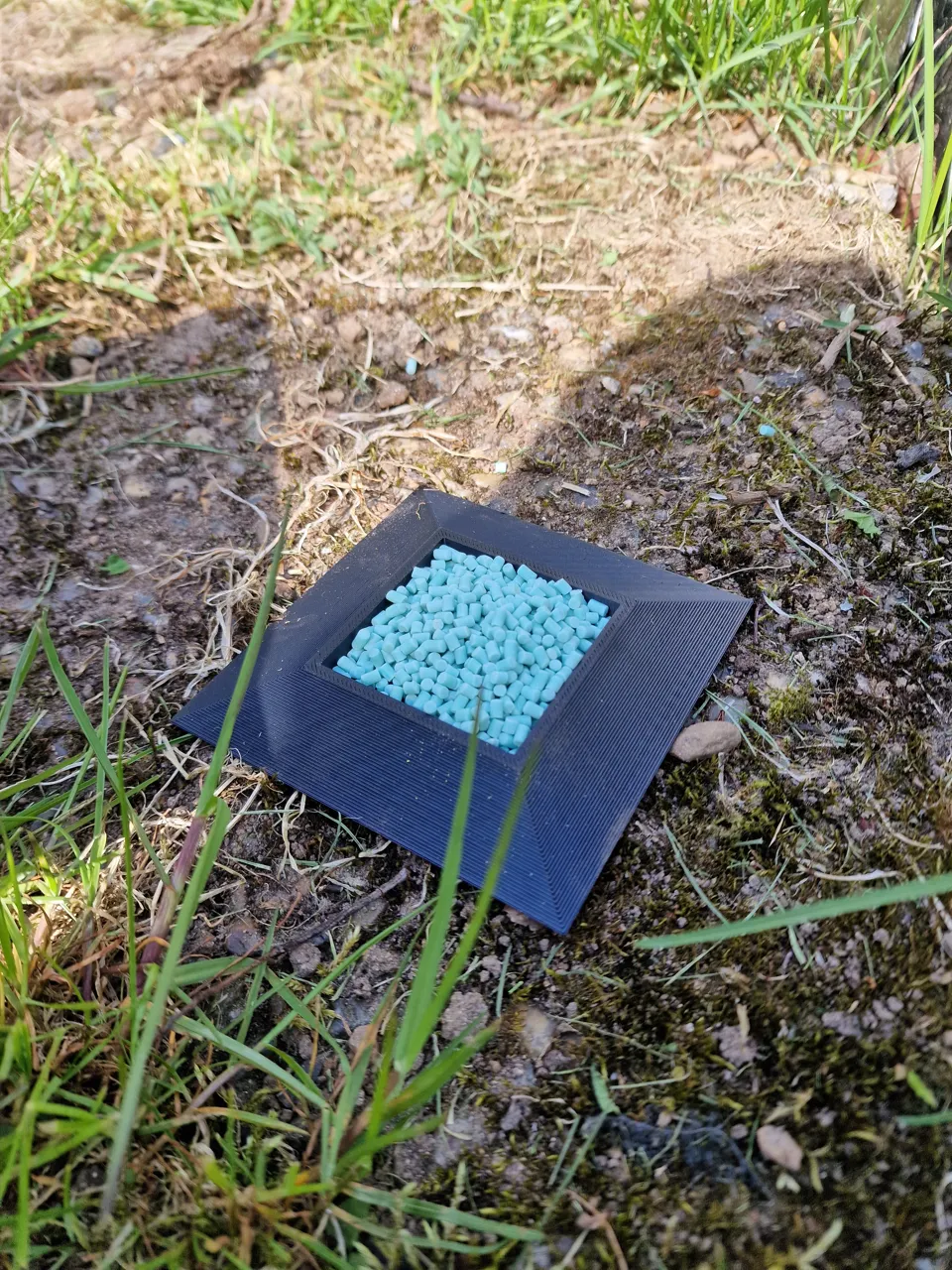 Slug hotel (Death-trap) view 2