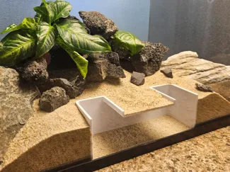 Simple Aquarium Swim Through Cave 