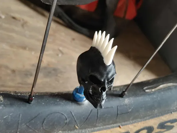 https://makerworld.bblmw.com/makerworld/model/US4da970696d4d0/design/a1c69204e8ff75ca.jpg