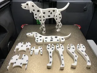 Dalmatian Dog