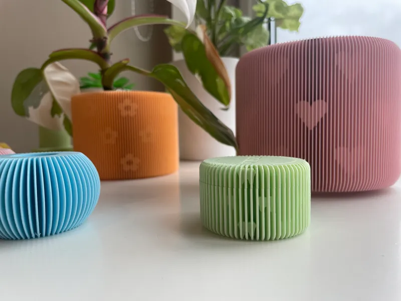 Baby Teeth Container V2