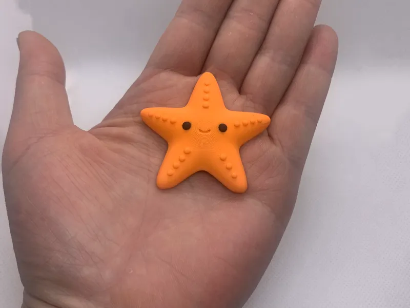 a Starfish Fridge Magnet