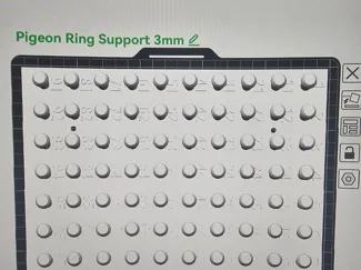 Pigeon Rings Support Plate