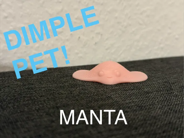 https://makerworld.bblmw.com/makerworld/model/US4dc32a1368074f/design/2025-12-23_36b1f1fb0ea588.jpeg