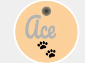 Ace dog tag