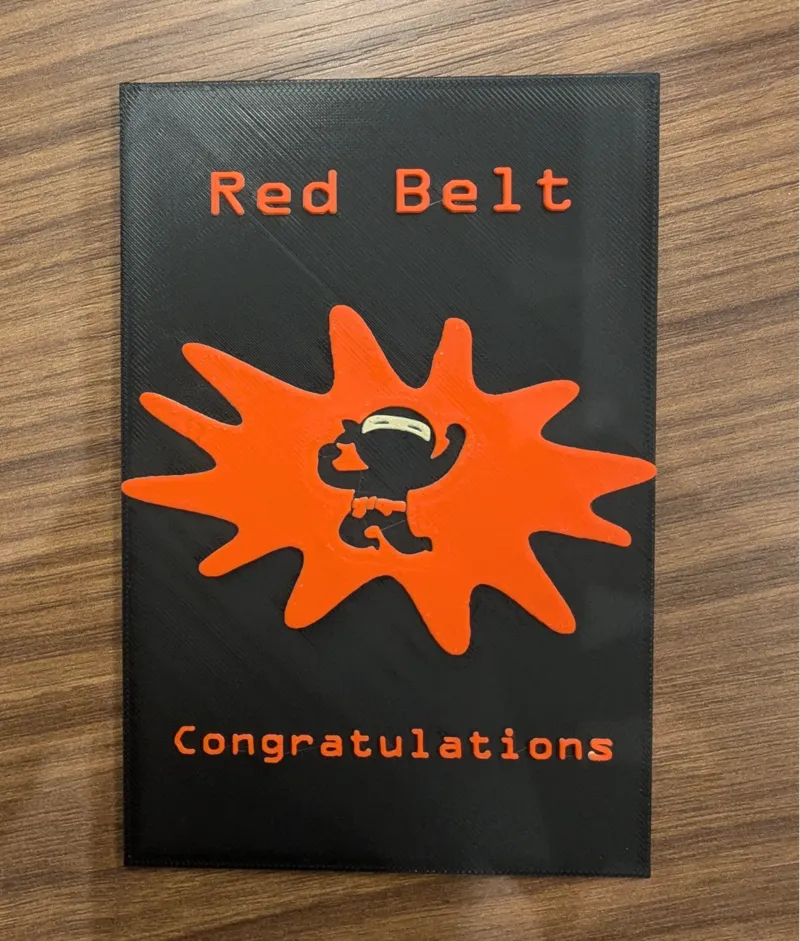Code Ninjas/Martial Arts Red Belt