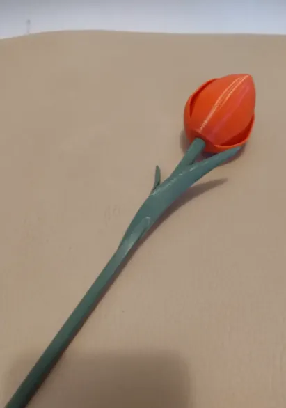 3D ბეჭდვითი ტიტა