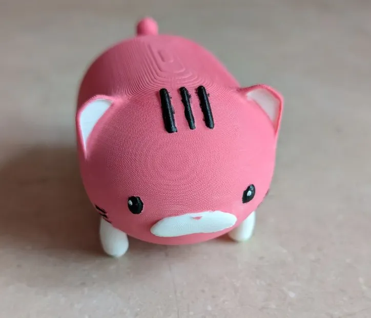 Cute cat