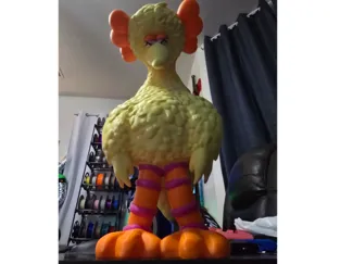 Big Bird Kaws