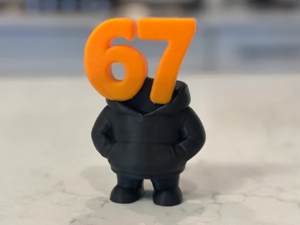 https://makerworld.bblmw.com/makerworld/model/US4dd41bb0b6ac30/design/2025-11-01_cee818be144c4.jpg