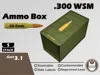 Gen3.1 - 300 WSM - 50 Round