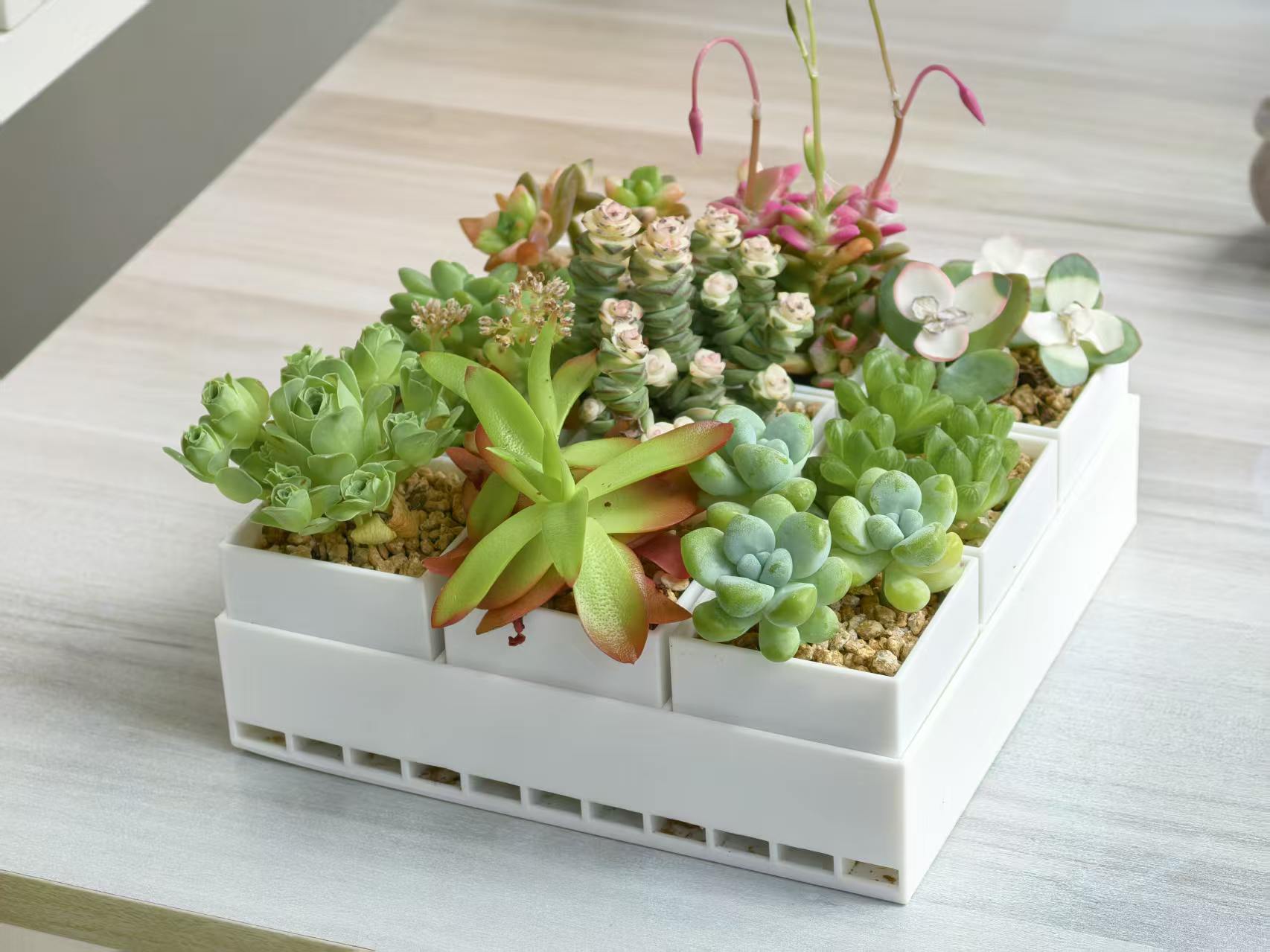 Miniatura 1 do modelo 3D 模块化多肉盒子方格花盆｜多尺寸自由组合