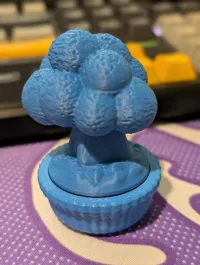 Single Colour 0.2mm layer, 2 walls, 10% infill