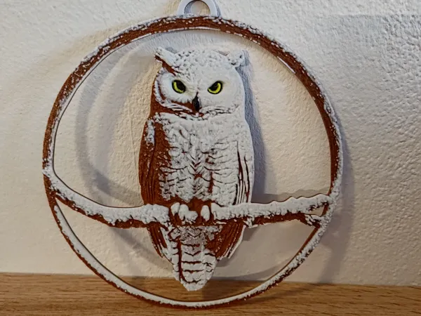 https://makerworld.bblmw.com/makerworld/model/US4dd62270f9a6f8/design/2024-12-08_1dd97771d815a.jpg