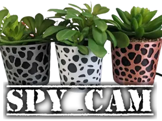 Planter spy cam