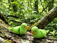 parakeet