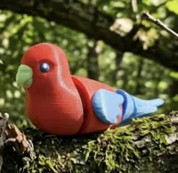 red parrot