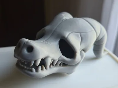 Skele Head