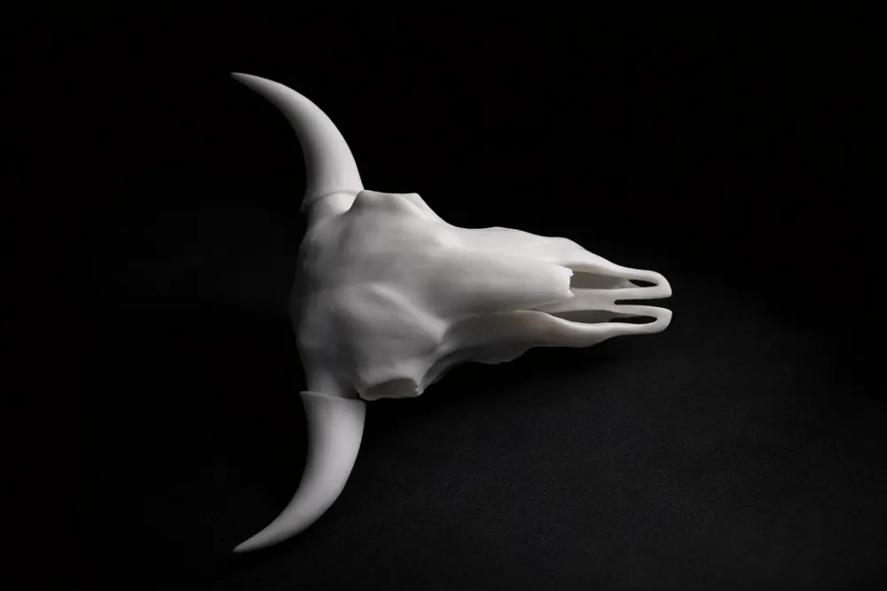 Cow skull - Free 3D Print Model - MakerWorld