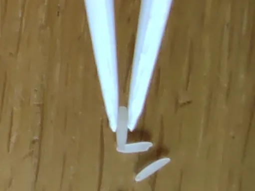 Scientific Tweezers