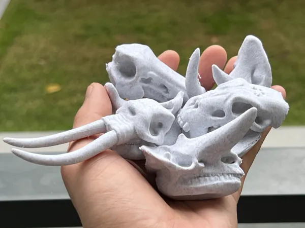 https://makerworld.bblmw.com/makerworld/model/US4de60499351d0c/design/2025-02-25_2ddfb2409cdc8.jpg