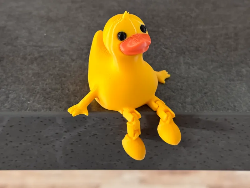 Rubber duck buddy