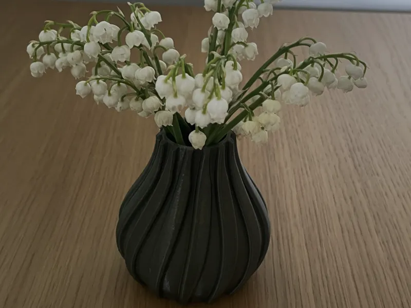 Flower Vase - Spiral