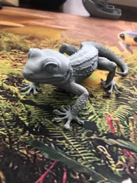 0.16mm layer, 2 walls, 15% infill