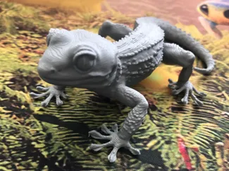 gecko