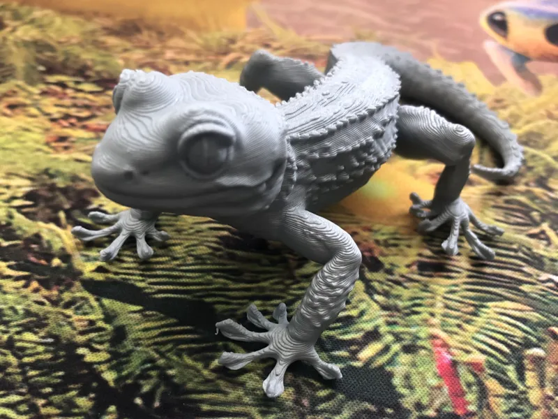 gecko