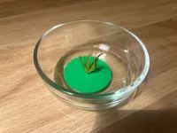 Support flottant pour bouture de plante — photo 2