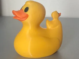 Rubber Duck family