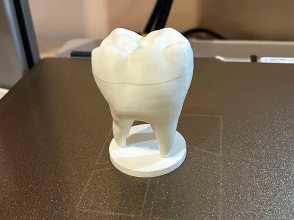 Boîte à dents