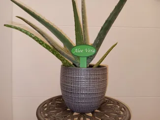 Pflanzenstecker