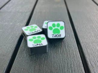 AVIDO-chapa mascotas