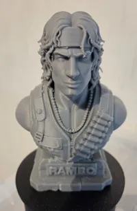 0.08mm layer, 2 walls, 10% infill