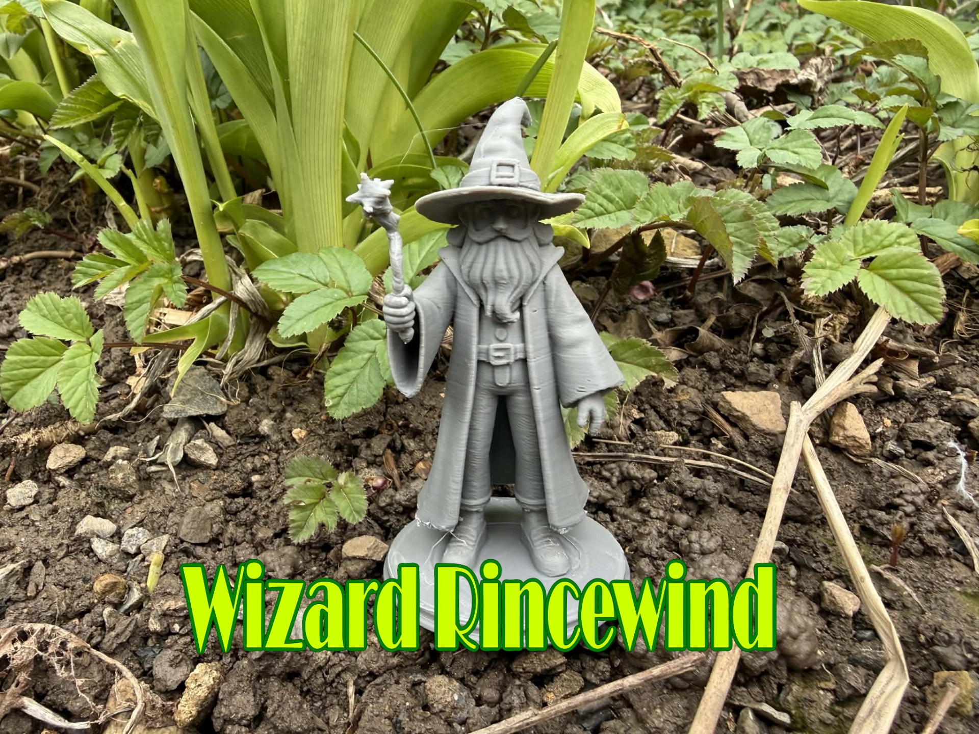 Discworld Wizard Rincewind
