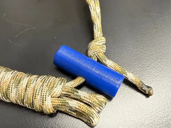 https://makerworld.bblmw.com/makerworld/model/US4e1465f247c22c/design/2025-02-07_aa96e0ef53d78.jpg